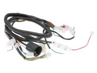 main wire / general wire harness for Jinlun Fighter 50