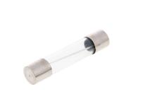 micro glass fuse 30x6mm 10A