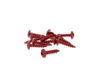 fairing screws anodized aluminum red - set of 12 pcs - M5x20
