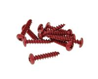 fairing screws anodized aluminum red - set of 12 pcs - M6x30