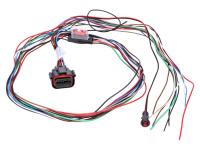 wiring harness HPS 940 Patrol Line alarm system
