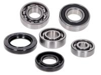 gearbox bearing set w/ oil seals for CPI Euro2