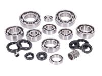 engine bearing set w/ oil seals for Rotax 122cc