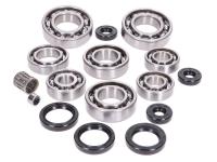 engine bearing set w/ oil seals for Rotax 123cc