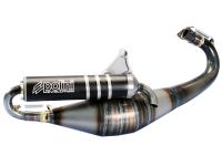 exhaust Polini racing Evolution 50 TWD for Derbi, Gilera, Piaggio 50cc
